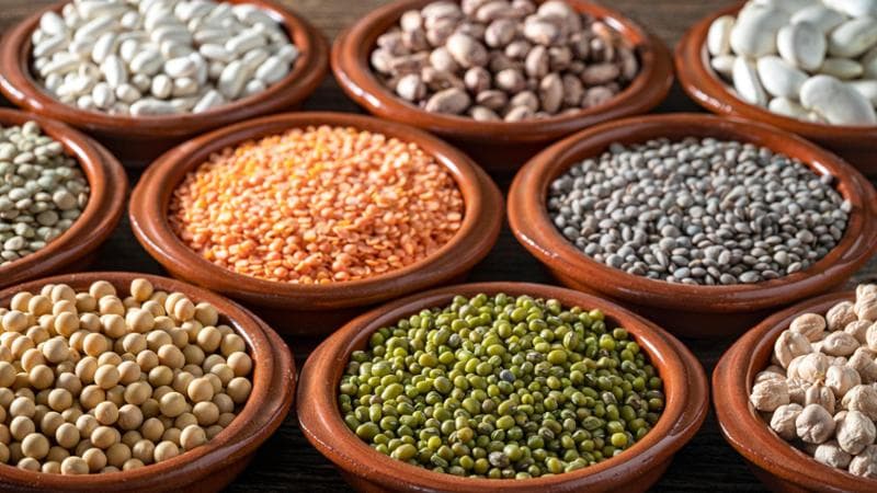 Proteine alternative: un mercato da 240 miliardi di euro entro il 2034