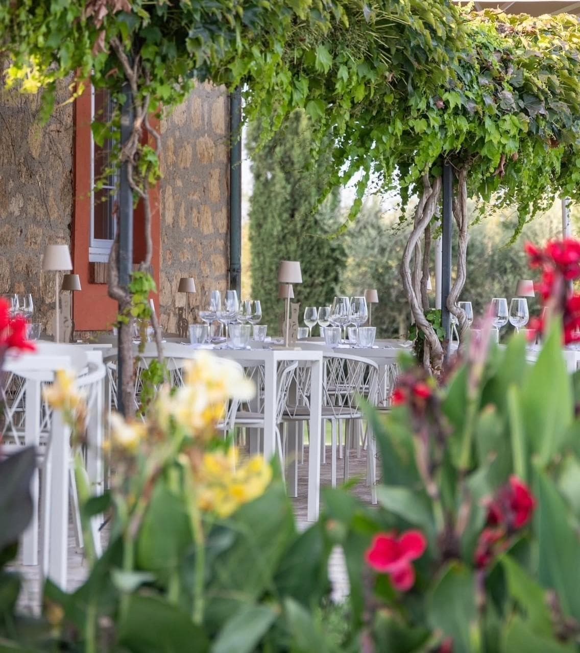 Bistrot Piani degli Alpaca