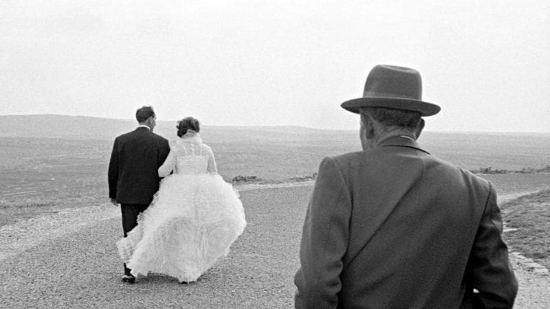 Paolo Di Paolo:&nbsp;il padre&nbsp;della sposa, litorale di Trani (1959)
