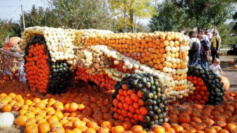 Scherzetto a motore