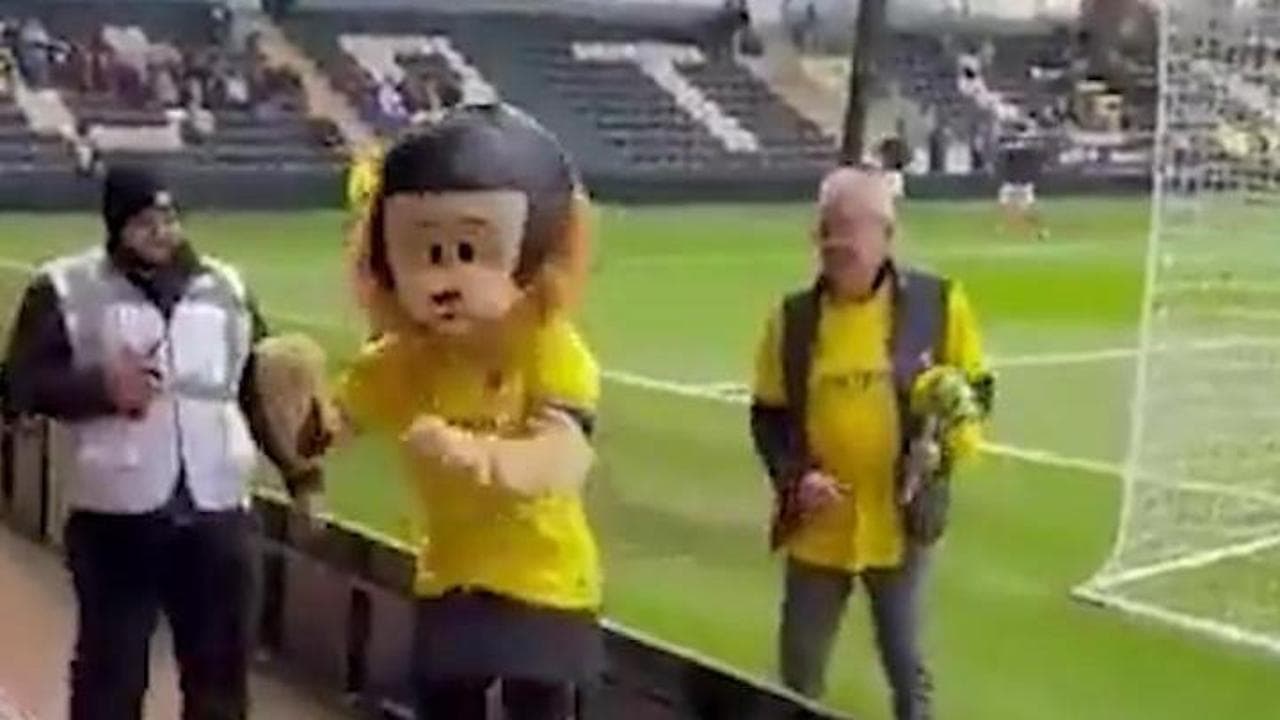 La mascotte è ubriaca, cade e viene portata fuori dal campo dalla sicurezza