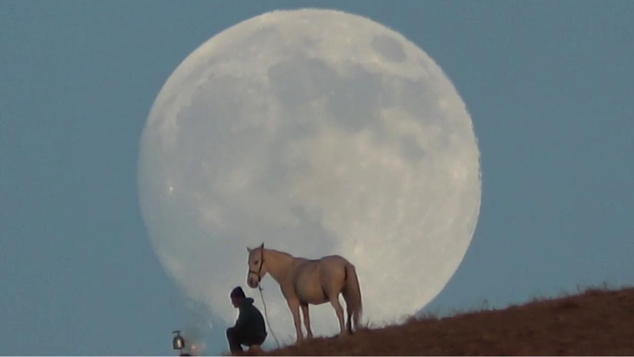 Turchia, super luna d’argento su Van: un uomo e il suo cavallo, pura magia sotto il cielo dell’Est
