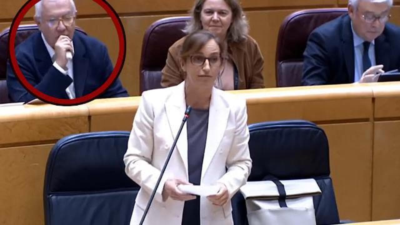 Spagna, il senatore fuma una sigaretta elettronica durante l'intervento della Ministra della Salute