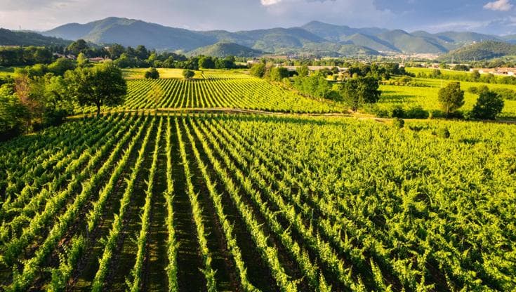 L'agroalimentare tra dazi e norme Ue