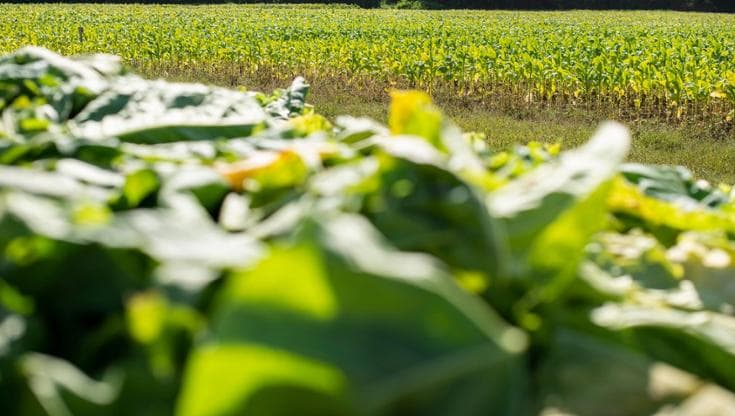 Accordi di filiera per innovare