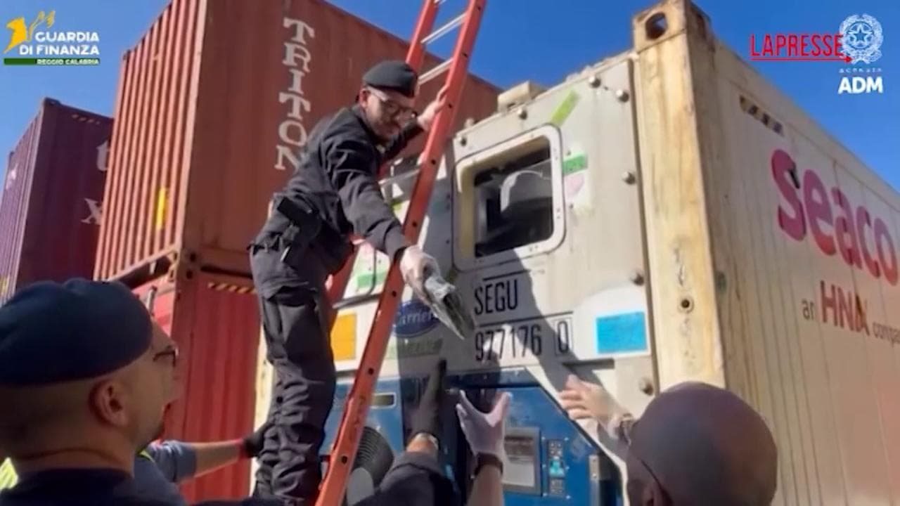 Gioia Tauro: 154 panetti di cocaina mascherati da gamberi e polpo surgelati nei container al porto