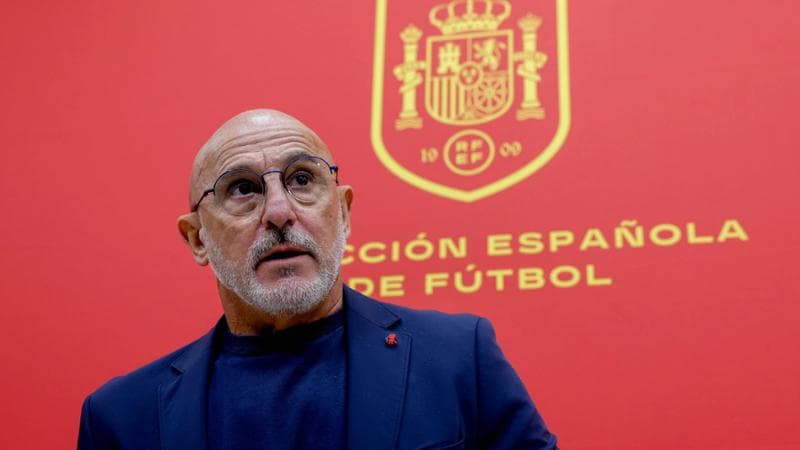 Luis de la Fuente, ct della Spagna
