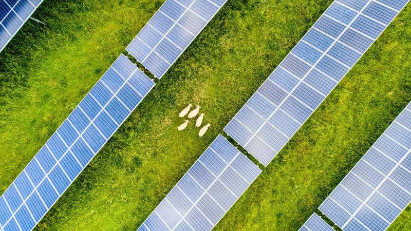 Agrivoltaico, Anie Rinnovabili sollecita la pubblicazione della seconda graduatoria Pnrr