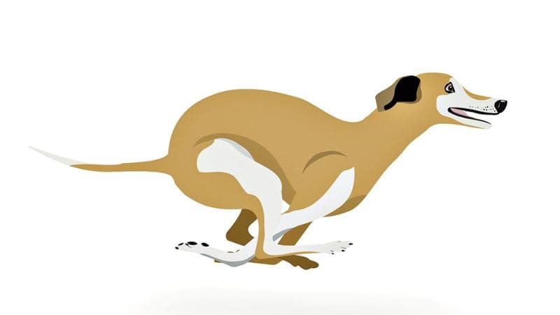 Illustrazione di&nbsp;Valentina Gottardi
