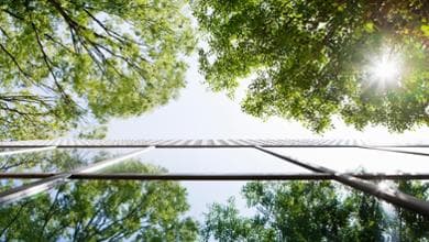 Auricchio: l’equilibrio tra sostenibilità e profitti