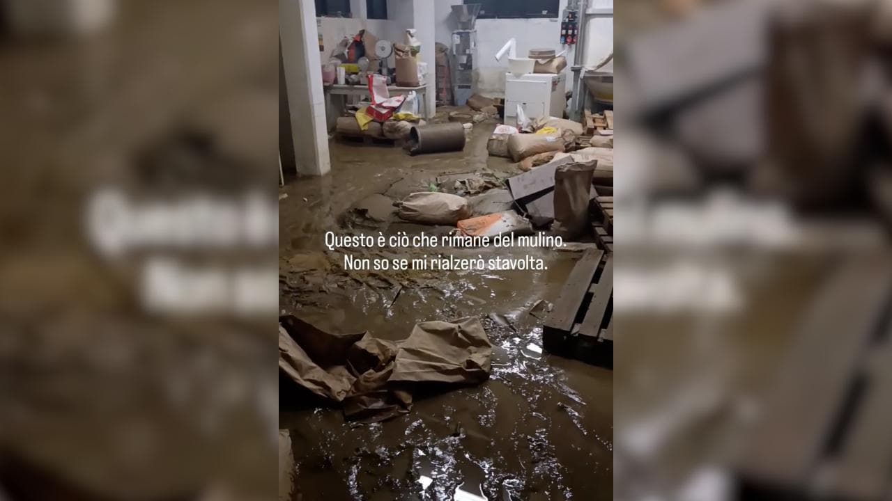 Alluvione in Friuli, il proprietario del mulino storico: "Non so se mi rialzerò stavolta"