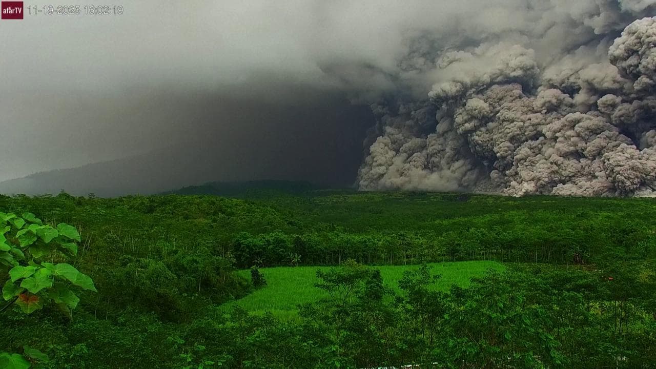 Indonesia, un muro di fumo e cenere alto 2 km sulla foresta: erutta il vulcano Semeru