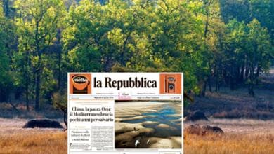 Mille miliardi di piante per salvare la Terra