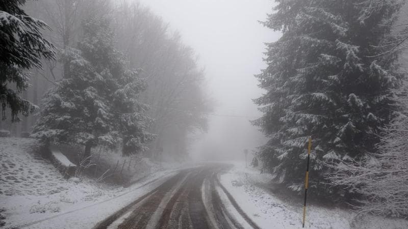 Neve sull'Appennino vicino Parma
