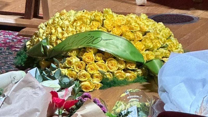 Il cuscino di rose gialle di Gino Paoli