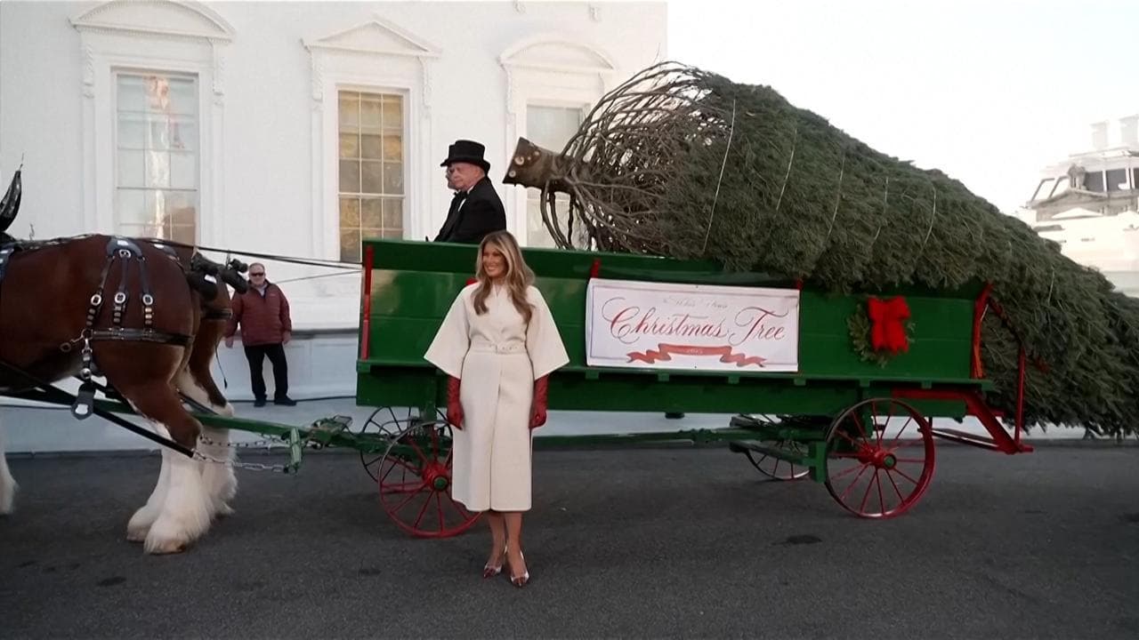 Alla Casa Bianca arriva l'albero di Natale, Melania: "E' bellissimo"