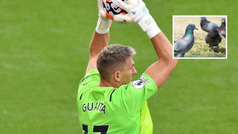 Guaita, il portiere che alleva piccioni vuole far volare il Parma