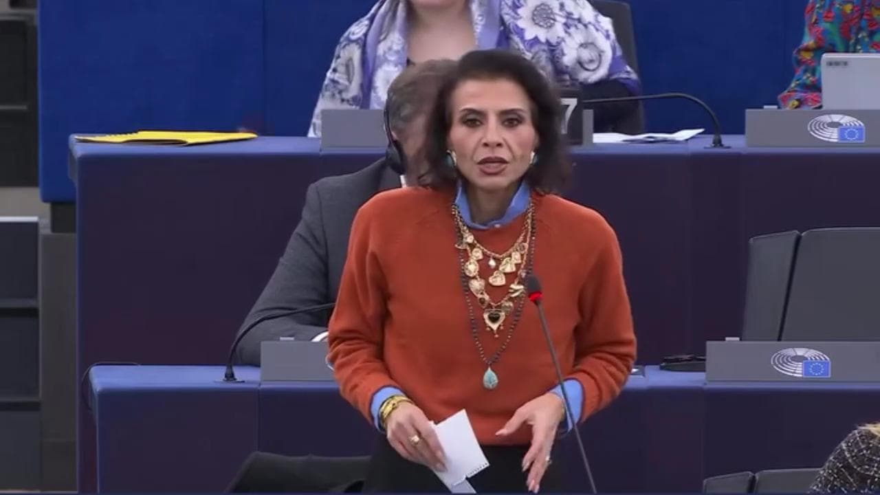 Violenza sulle donne, l'europarlamentare sferza i colleghi: "Siamo furiose, e voi uomini che fate?