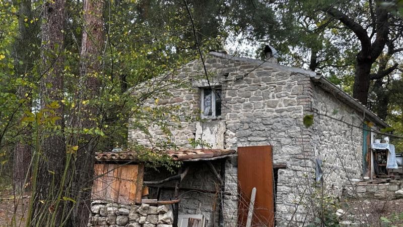 Aile ormanda, avukat işten vazgeçiyor: “Tekliflerimi reddediyorlar, bu kadar yeter, gidiyorum”