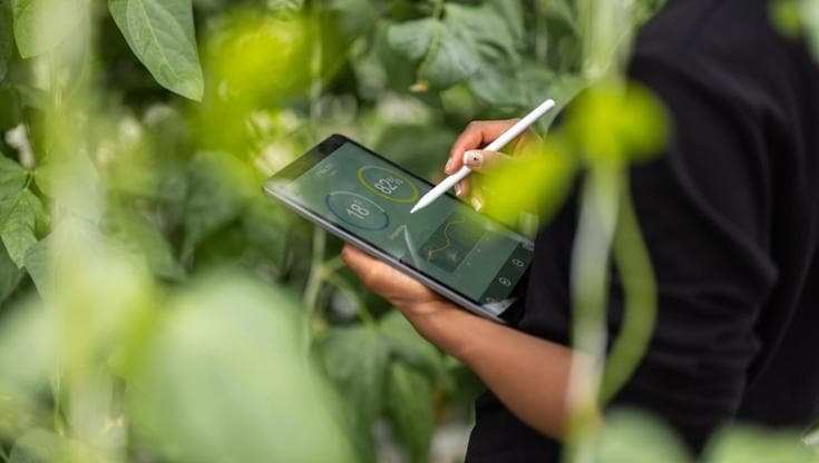Agricoltura e IA, il digitale avanza