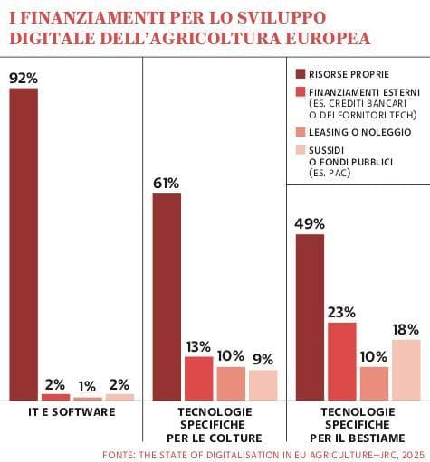Grafico a cura di Silvano Di Meo