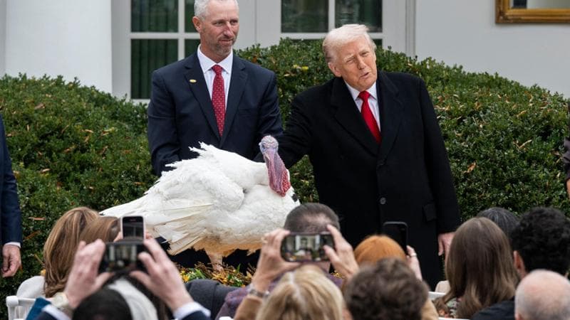 Washington, 25 novembre: Donald Trump grazia il tacchino alla Casa Bianca