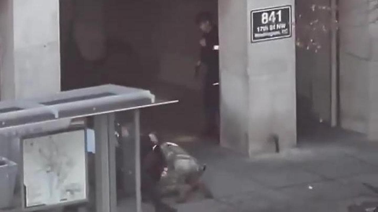 Spari a Washington vicino alla Casa Bianca, la cattura del sospetto ripresa dal palazzo di fronte