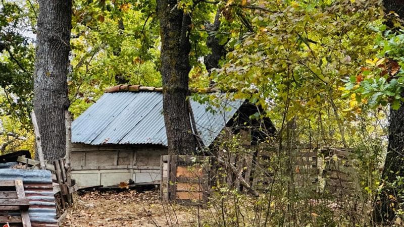 La casa nel bosco a Palmoli dove vivono Nathan Trevallion e Catherine Birmingham&nbsp;
