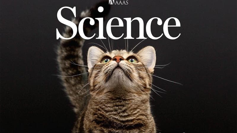 La copertina di Science