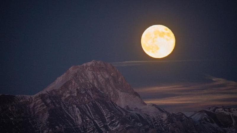 Giovedì arriva la Superluna Fredda. L’ultimo plenilunio dell’anno splenderà vicino alla Terra