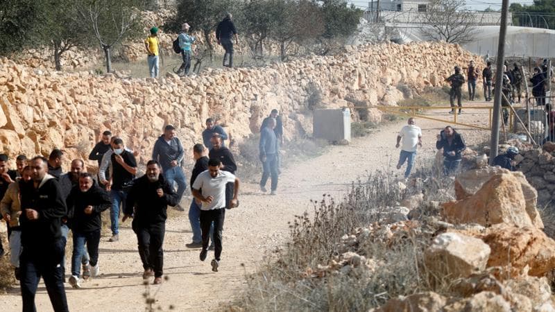 L’attivista italiana picchiata dai coloni in Cisgiordania: “Pugni e calci per venti minuti”