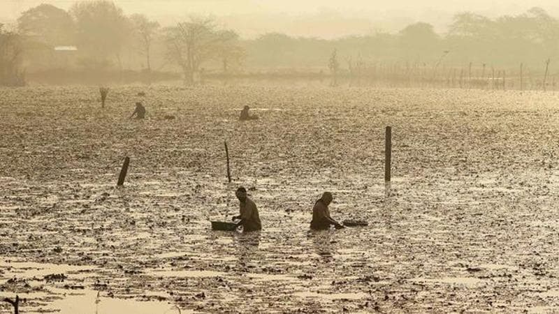 HIMANSHU SHARMA / AFP