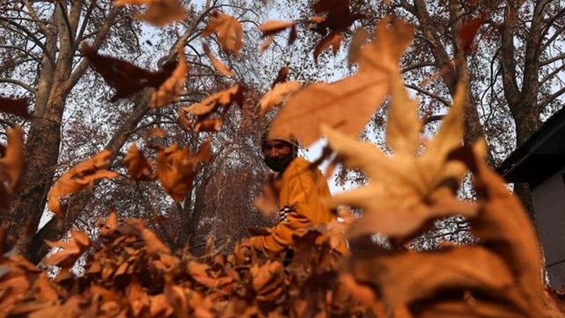 EPA/FAROOQ KHAN