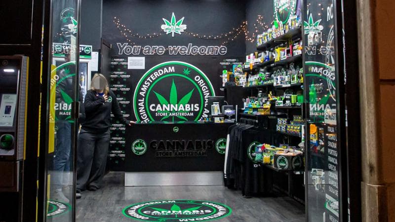 Giravolta di FdI sulla cannabis light: un emendamento per salvarla, poi lo stop
