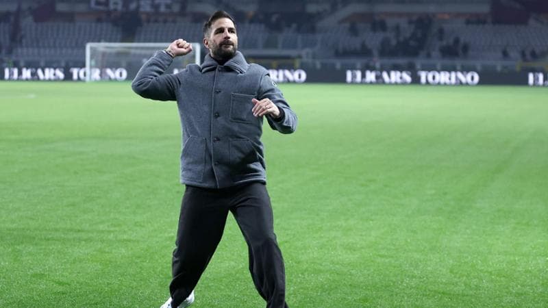 Cesc Fabregas