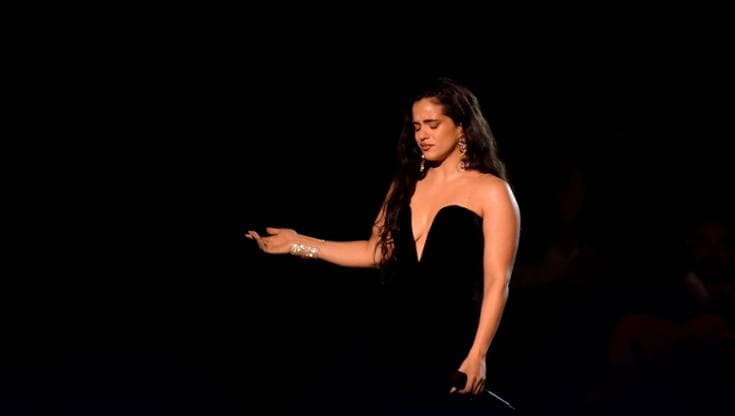 La cantante e il verso delle cose