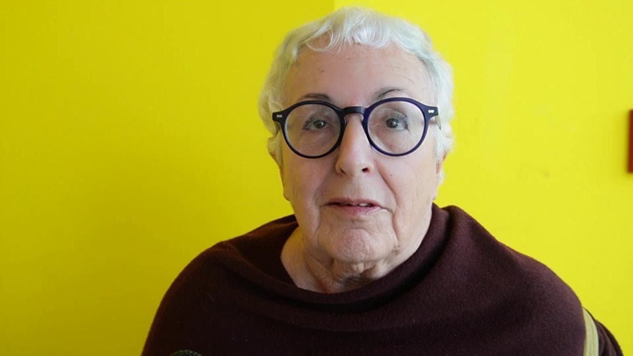 Ddl antisemitismo, Anna Foa: "Critiche a Israele possono essere politiche, non macchia infamante"