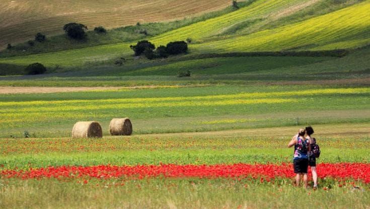 Il turismo sostenibile certificato dalla Iso 21401