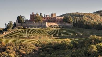 Vino, Barone Ricasoli: “Per affrontare nuove sfide bisogna ripartire dal territorio”