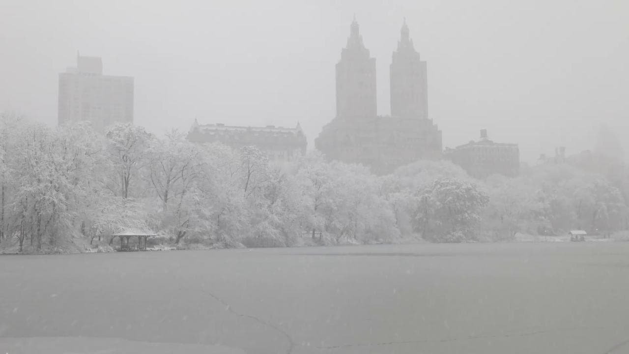New York, prima grande nevicata: la magia di Central Park imbiancato