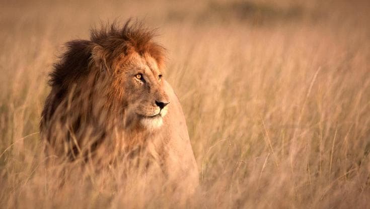 Tanzania: dove il viaggio diventa meraviglia