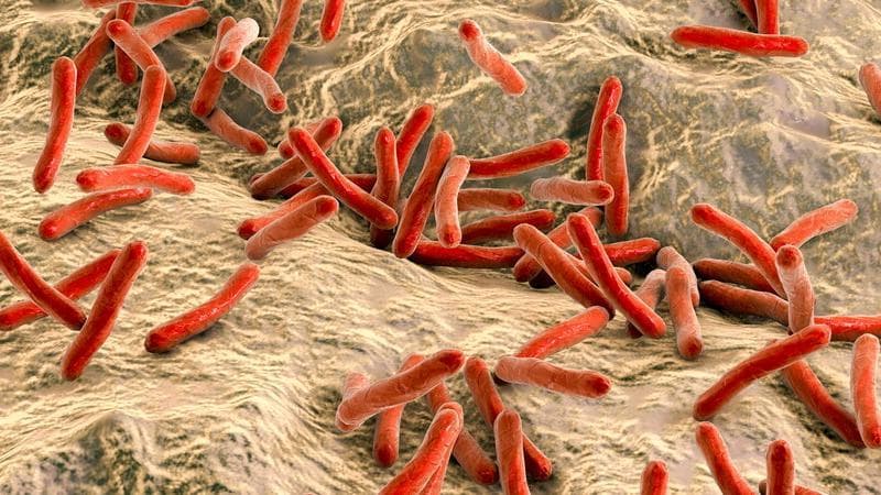 Il batterio della malattia di Hansen