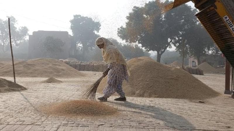 "A worker gathers" (REUTERS/Bhawika Chhabra)