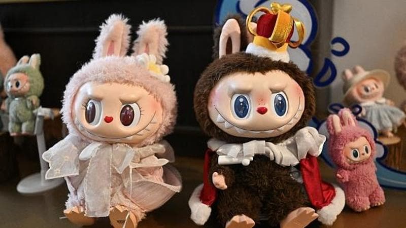 This picture taken on June 18, 2025 shows figures of the characters Mokoko (L) and Labubu in an exhibition room at Pop Mart's theme park Pop Land in Beijing. Small, fuzzy and baring sharp teeth, Chinese toymaker Pop Mart's Labubu monster dolls have taken over the world, drawing excited crowds at international stores and adorning the handbags of celebrities such as Rihanna and Cher. (Photo by Pedro PARDO / AFP) (Photo by PEDRO PARDO/AFP via Getty Images)          