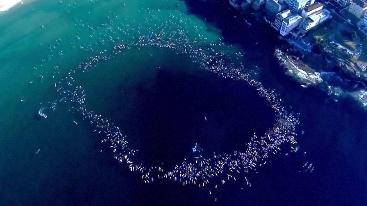 Sydney: lo spettacolare tributo di centinaia di surfisti alle vittime della strage di Bondi Beach