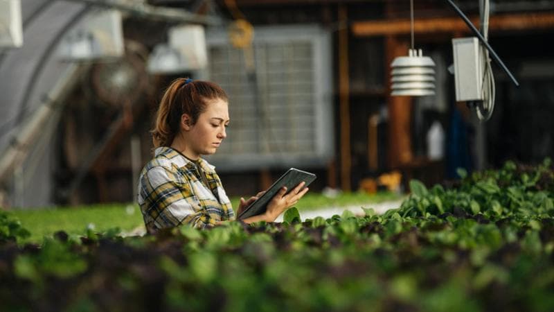 Il futuro dei campi passa dall’innovazione