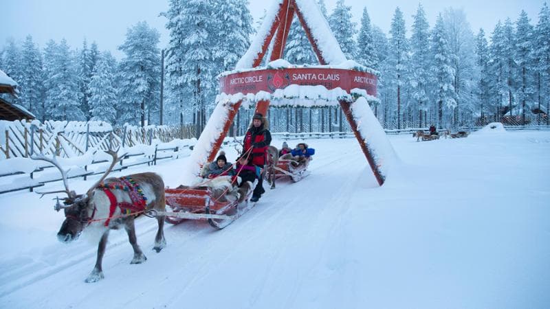 L’allevamento delle renne è da anni una voce fondamentale dell’economia di Rovaniemi. Un tempo, per produrre carni, oggi per il turismo ( Ilvy Njiokiktjien/The New York Times)