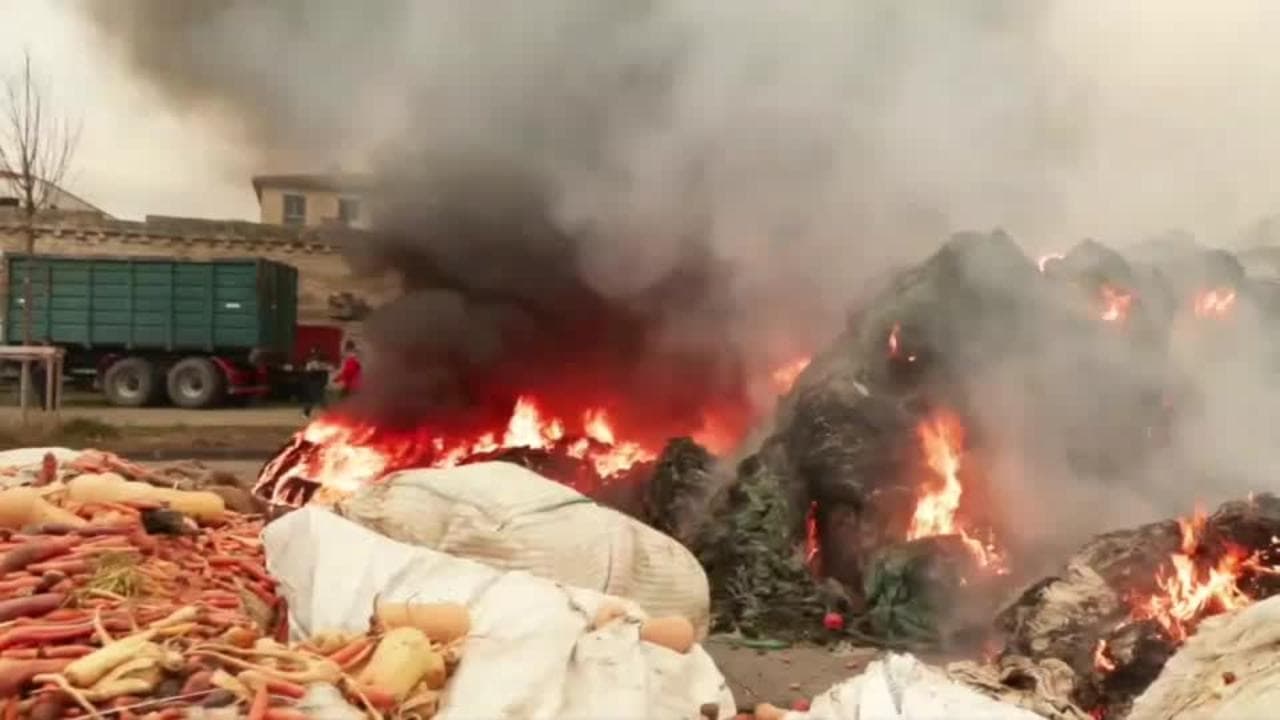 Francia, proteste di agricoltori e allevatori proseguono malgrado il rinvio dell'accordo Ue-Mercosur