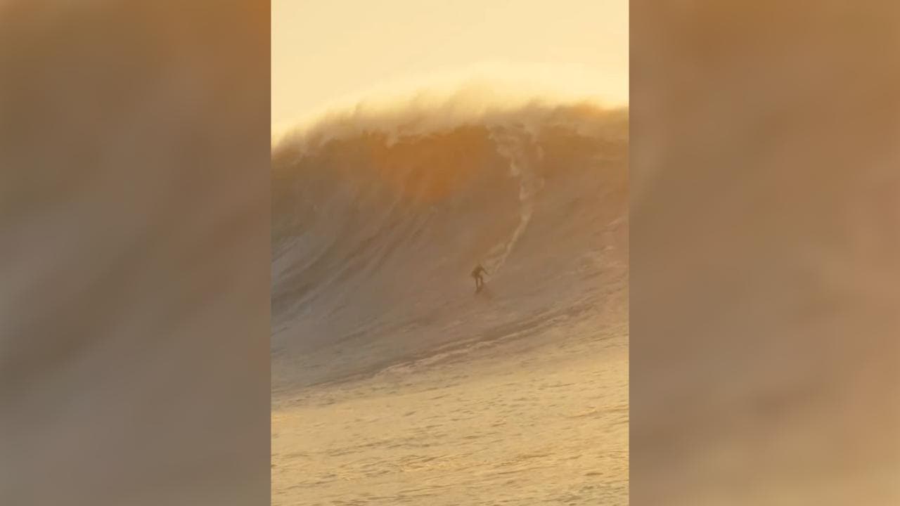Portogallo, la campionessa di surf Laura Crane cavalca l'onda (forse) più grande di sempre: il video