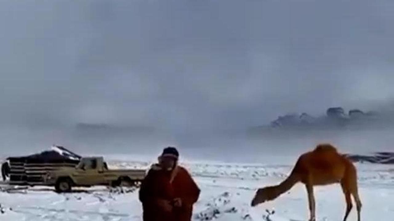 Arabia Saudita, eccezionale nevicata tinge di bianco il deserto: non accadeva da 30 anni